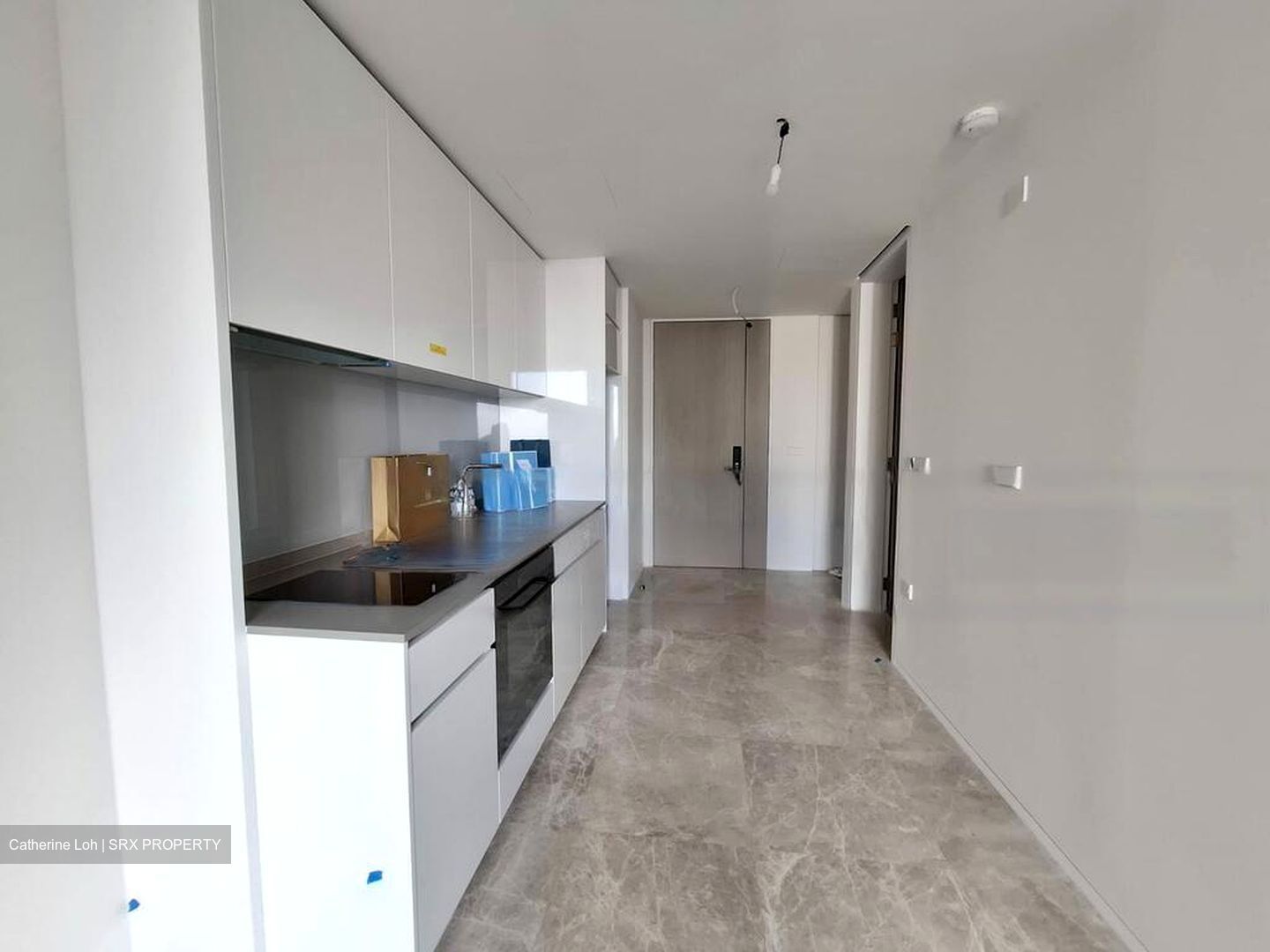 Amber Park (D15), Condominium #453351021